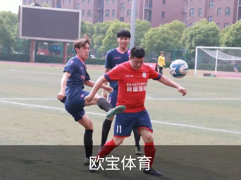 企业简介
